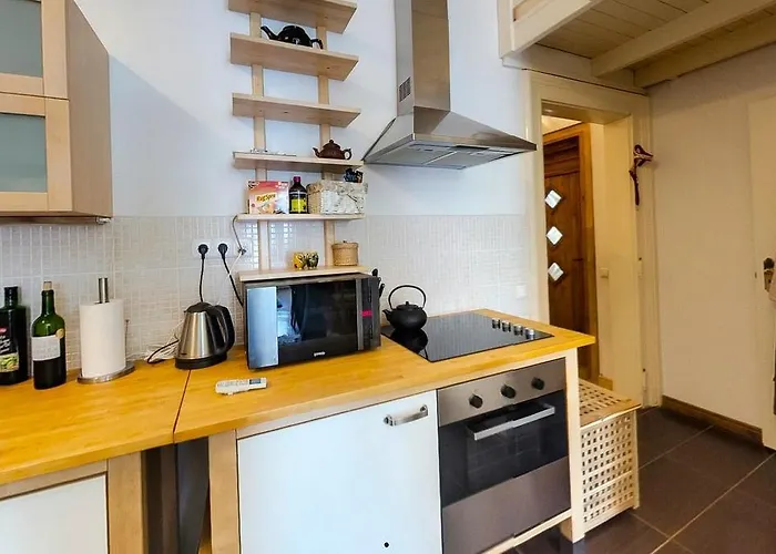 Apartman Corvin Museum View